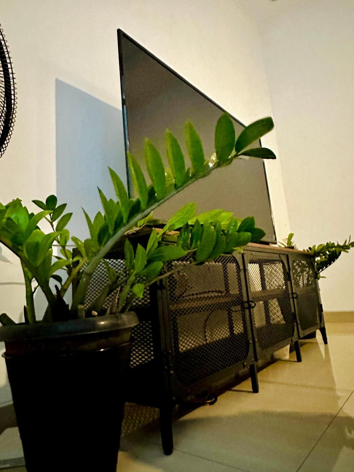 4-Bedroom Home In South Jakarta Nuansa Swadarma Residence By Le Ciel Hospitality Eksteriør billede